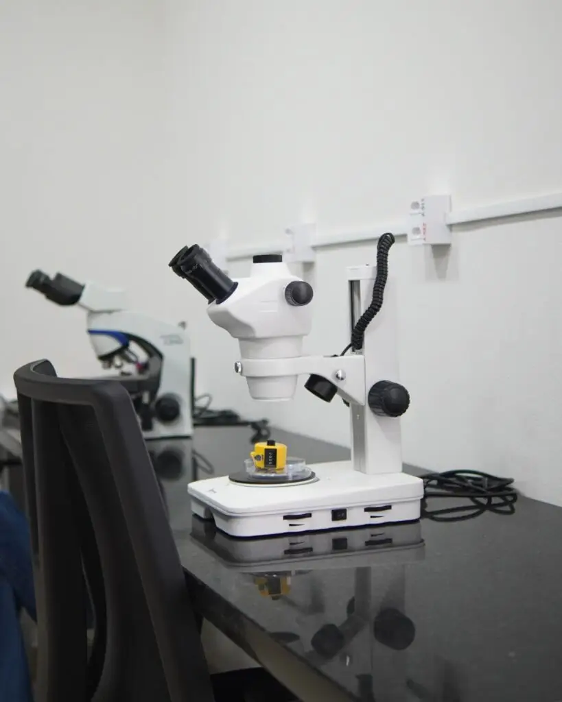 nemasolum analise de solo nematologia